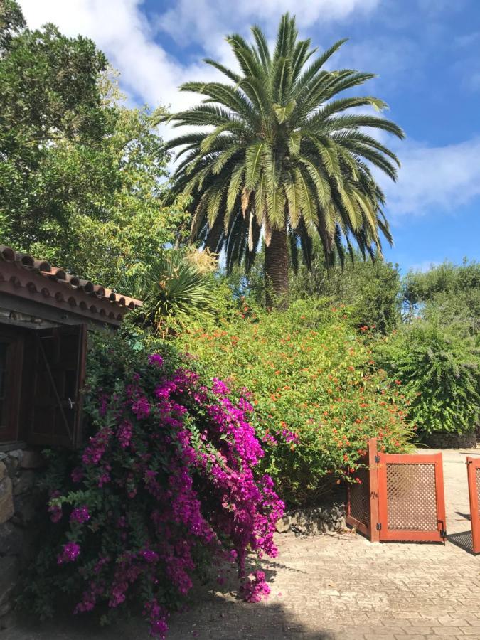 לה לגונה Rincon De Los Abanes - Finca Casa Jardin-Vv מראה חיצוני תמונה